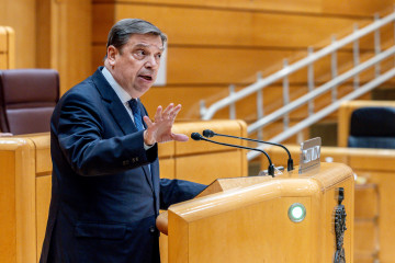 El ministro de Agricultura, Pesca y Alimentación, Luis Planas, interviene durante una sesión de control al Gobierno en el Senado, a 6 de mayo de 2025, en Madrid (España). Tras el apagón de luz que