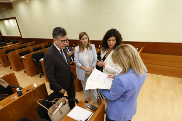 Comisión del Estatuto