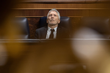 El ministro de Interior, Fernando Grande-Marlaska, durante una sesión de control al Gobierno en el Congreso de los Diputados