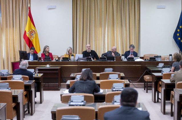 Archivo - Comisión de Investigación sobre el derecho a saber la verdad y las implicaciones derivadas de los atentados de Barcelona y Cambrils del 17 de agosto de 2017, a 28 de enero de 2025, en Madrid (España).