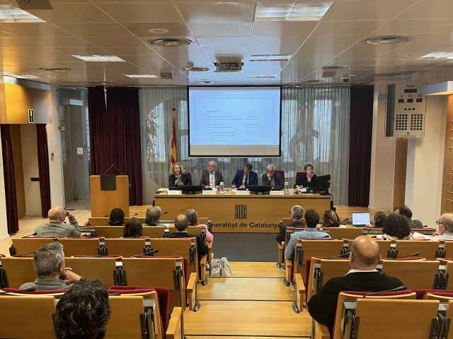 El pleno del Ctesc