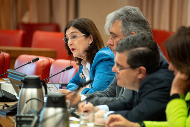 La presidenta de la Comisión Nacional de los Mercados y la Competencia (CNMC), Cani Fernández, comparece, en la Comisión de Economía, Comercio y Transformación Digital, en el Congreso de los Diputados, a 13 de mayo de 2025, en Madrid (España).