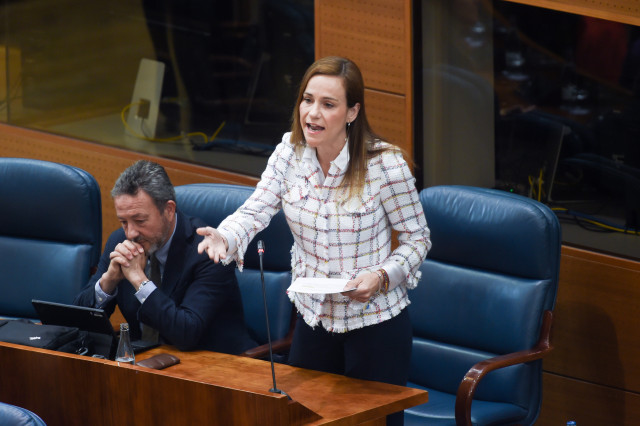 La portavoz de VOX en la Asamblea de Madrid, Isabel Pérez Moñino-Aranda.