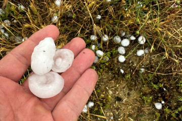 Granizo caído este viernes en un campo de Monegrillo (Zaragoza)