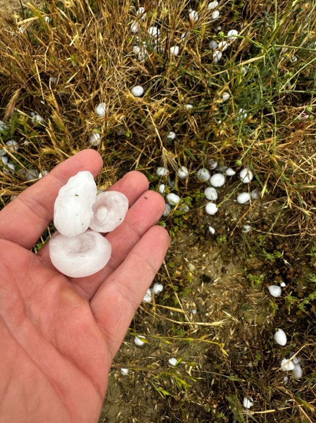 Granizo caído este viernes en un campo de Monegrillo (Zaragoza)