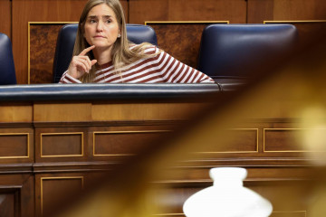 La vicepresidenta tercera y ministra para la Transición Ecológica y Energía, Sara Aagesen, durante una sesión plenaria en el Congreso de los Diputados, a 14 de mayo de 2025, en Madrid (España).