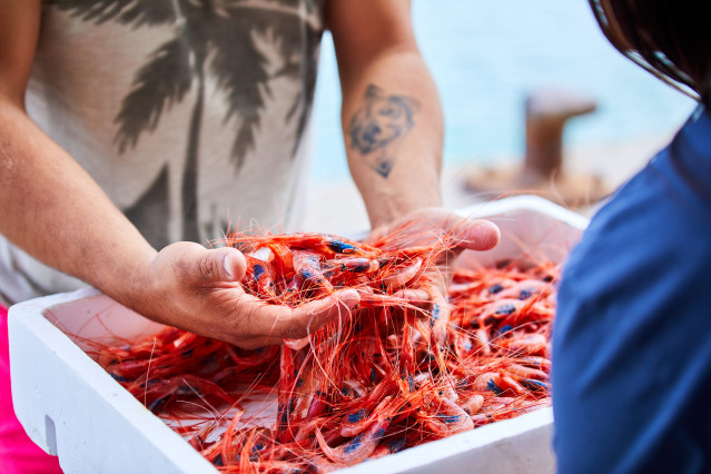Archivo - Gamba roja del Mediterráneo