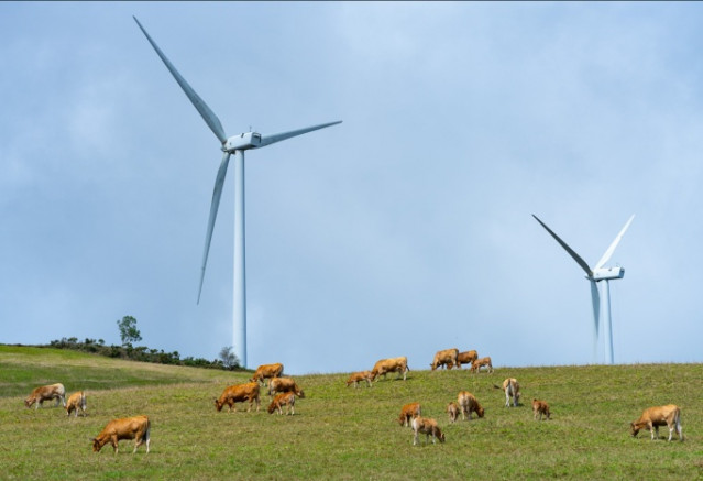 Archivo - Parque eólico de Acciona Energía