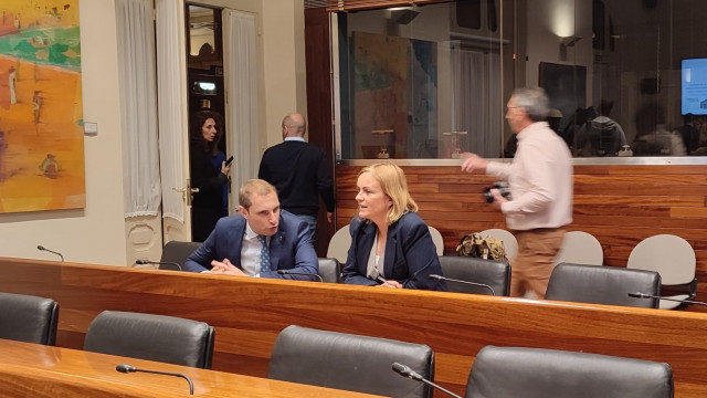 Los diputados del Grupo Mixto Covadonga Tomé y Adrián Pumares.