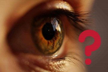 Ojos   CANVA