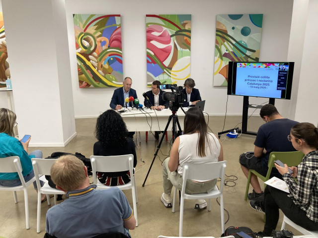 El Departamento de Agricultura, Ganadería, Pesca y Alimentación y la Asociación Empresarial de Fruta de Catalunya (Afrucat) han asegurado este lunes que Catalunya mantendrá su producción de gruta de hueso a pesar de las siete granizadas de la primavera.
