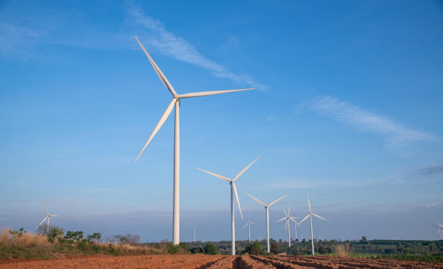 Archivo - Un parque de generación eólica.