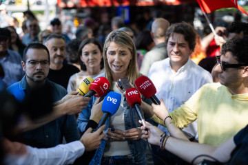 La secretaria de Organización del PSOE de Madrid, Pilar Sánchez Acera, ofrece declaraciones a los medios de comunicación, antes de la manifestación por la sanidad pública