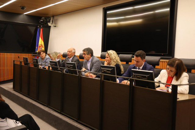El ex Alto Representante de la UE para Asuntos Exteriores y Política de Seguridad, Josep Borrell, ha participado hoy en la reunión del Grupo Socialista.