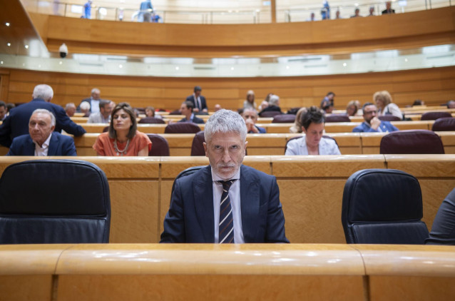 El ministro del Interior, Fernando Grande-Marlaska, durante una sesión de control al Gobierno en el Senado
