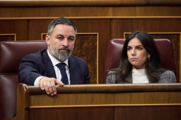 El presidente de VOX, Santiago Abascal y la portavoz de VOX en el Congreso, Pepa Millán, durante una sesión plenaria, en el Congreso de los Diputados, a 20 de mayo de 2025, en Madrid (España). Los 