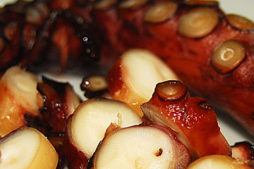 Archivo - Pulpo seco de Adra (Almería).