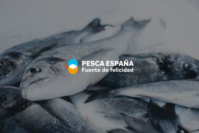 Archivo - Economía/Pesca.- La Organización de Productores de Pesca Fresca del Puerto de Vigo se incorpora a Pesca España