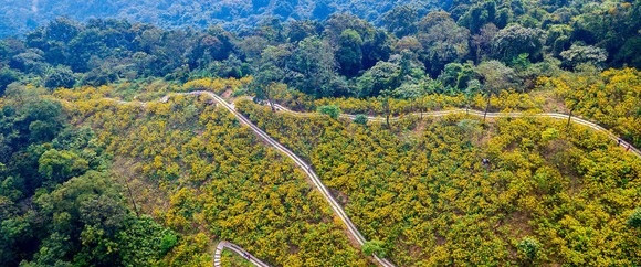 Meliá logra la neutralidad en carbono en más de 4.000 eventos en 2024 con su programa 'Road to Net Zero Events'.