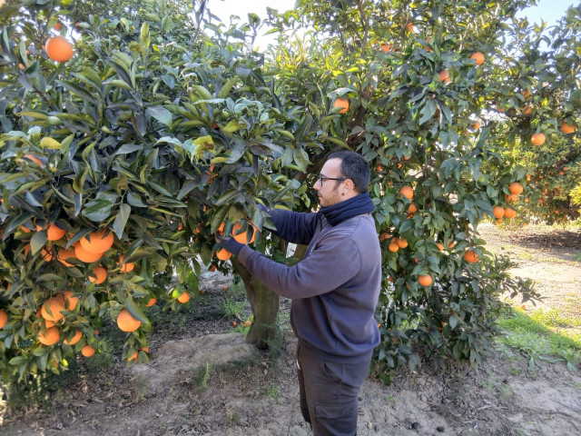 Archivo - Joven agricultor