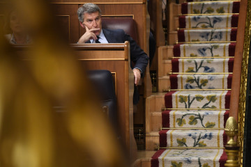 Archivo - El presidente del PP, Alberto Núñez Feijóo, durante una sesión plenaria, en el Congreso de los Diputados.