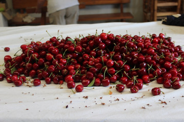 Cerezas