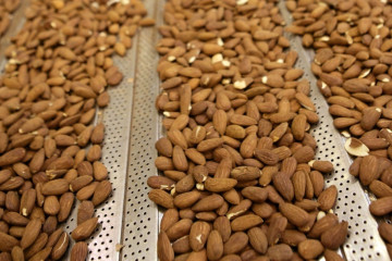 Archivo - Almendras producidas por BAIN