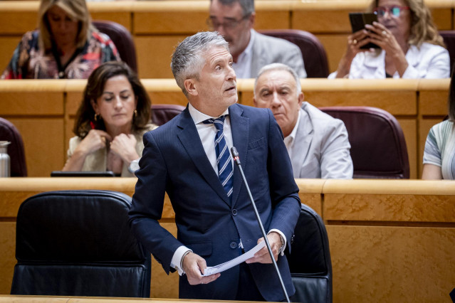 El ministro del Interior, Fernando Grande-Marlaska, interviene durante una sesión de control al Gobierno en el Senado
