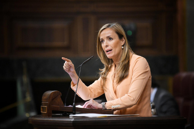 La diputada del PP, Carmen Navarro.