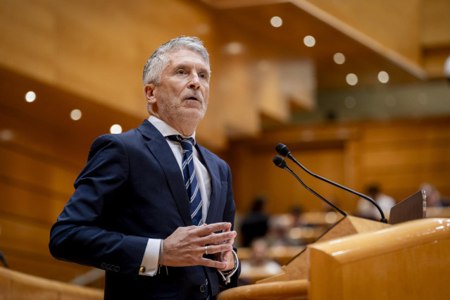 El ministro del Interior, Fernando Grande-Marlaska, durante una sesión de control al Gobierno en el Senado