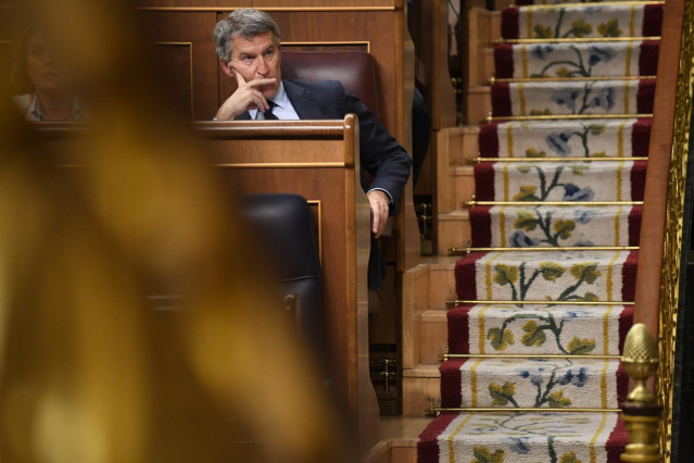 Archivo - El presidente del PP, Alberto Núñez Feijóo, durante una sesión plenaria, en el Congreso de los Diputados.