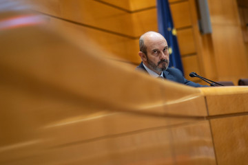 Archivo - El presidente del Senado Pedro Rollán, durante una sesión de control al Gobierno, en el Senado, a 25 de marzo de 2025, en Madrid (España).
