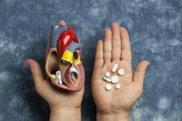 Persona con modelo anatomico de corazon con fines educativos