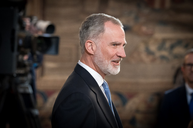 El Rey Felipe VI