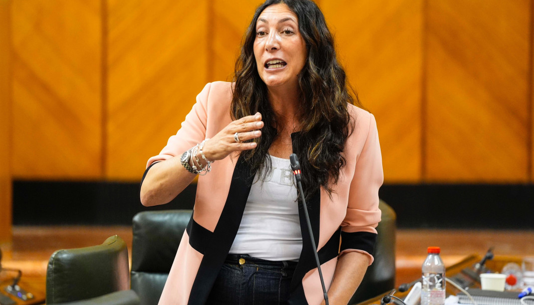 La consejera de Inclusión Social, Juventud, Familias e Igualdad, Loles López, en Pleno del Parlamento.