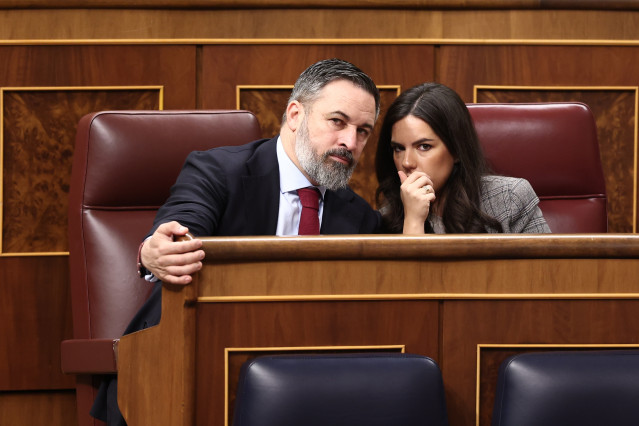 Archivo - El presidente de VOX, Santiago Abascal y la portavoz del partido, Pepa Millán, durante una sesión plenaria en el Congreso de los Diputados, a 20 de marzo de 2025, en Madrid (España).