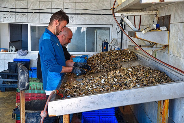 Sindicatos y patronal logran un Acuerdo Parcial en materia salarial en el Convenio de Productos Elaborados del Mar.