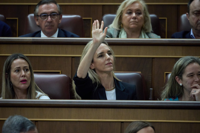 La diputada del PP Cayetana Álvarez de Toledo.