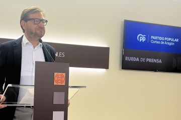 El portavoz del grupo del PP de las Cortes de Aragón, Fernando Ledesma.