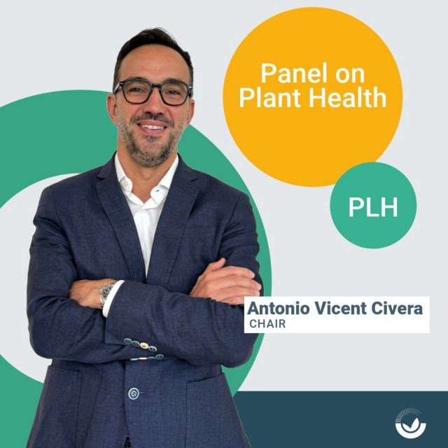 El IVIA organiza en València la reunión de Sanidad Vegetal de la EFSA que se celebra por primera vez en España