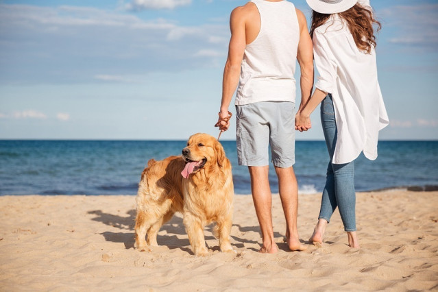 Archivo - Pareja paseando con un perro a la orilla del mar.