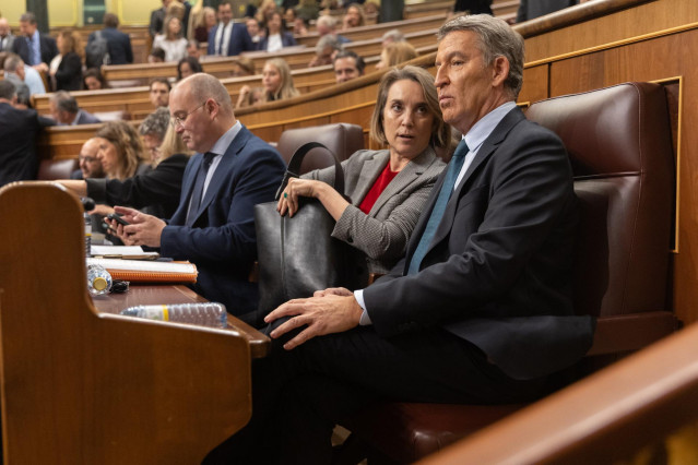 Archivo - El portavoz del grupo Popular,  Miguel Tellado; la secretaria general del PP, Cuca Gamarra, y el presidente de la formación, Alberto Núñez Feijóo, durante una sesión plenaria