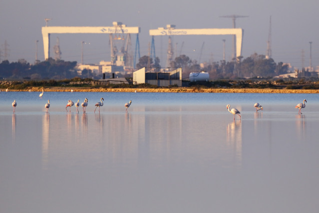 Navantia