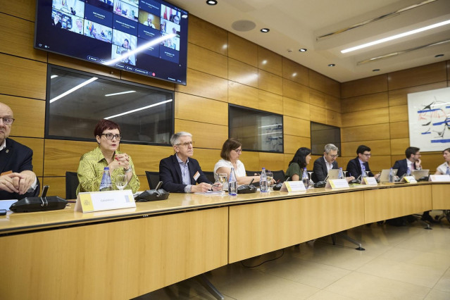 Canarias insiste en la Sectorial de Infancia que los 8,5 millones para atender a menores migrantes son 