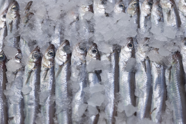 Archivo - Sardinas expuestas en una pescadería de un mercado