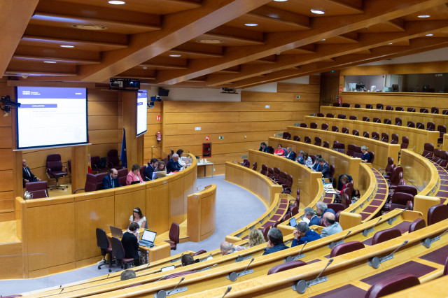 Archivo - La presidenta del Tribunal de Cuentas, Enriqueta Chicano, durante su comparecencia ante la Comisión Mixta para las Relaciones con el Tribunal de Cuentas, en el Senado, a 27 de mayo de 2025, en la Sala de Europa del Senado (Madrid, España).
