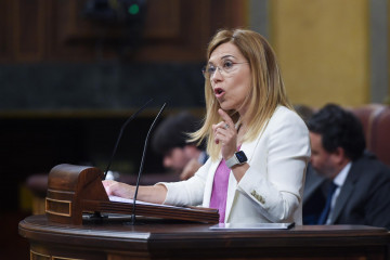 Archivo - La diputada del PP en el Congreso Ana Alós.