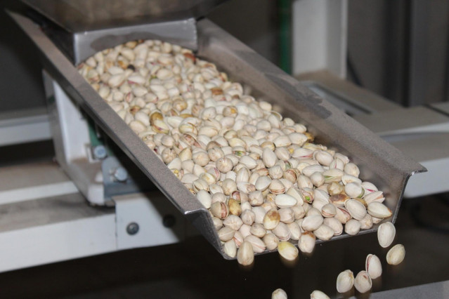 Cooperativas Agro-alimentarias Castilla-La Mancha prevé una cosecha histórica de 8.900 toneladas de pistacho esta campaña.