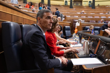 El presidente del Gobierno, Pedro Sánchez, en el Pleno del Congreso