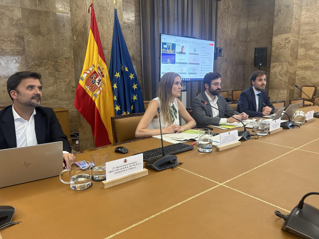 La vicepresidenta tercera y ministra para la Transición Ecológica, Sara Aagesen preside la reunión del grupo asesor del hidrógeno renovable